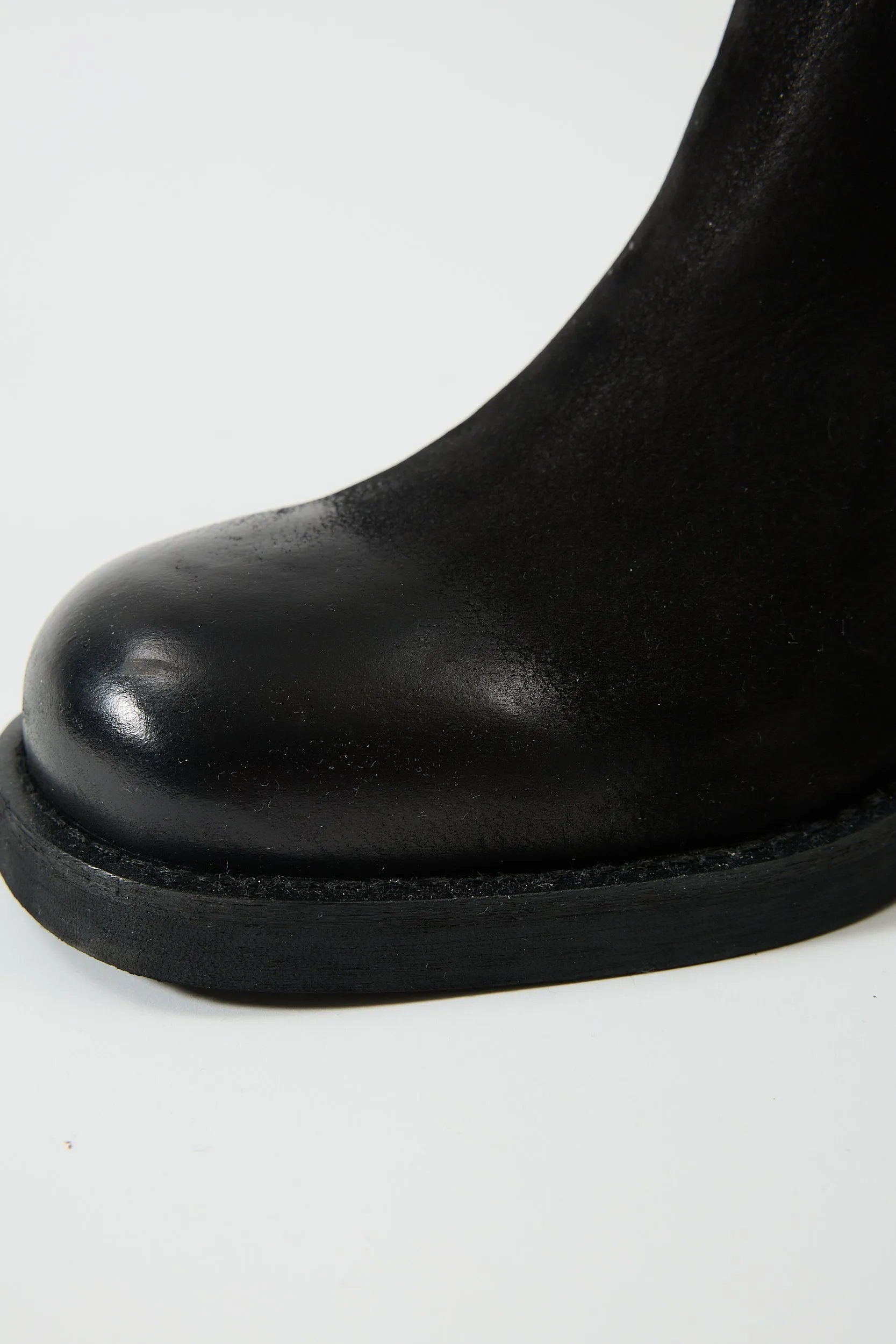 Aurelia Black