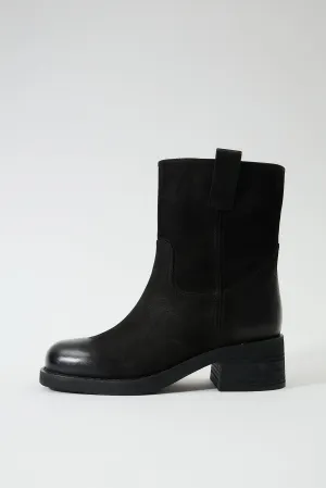 Aurelia Black