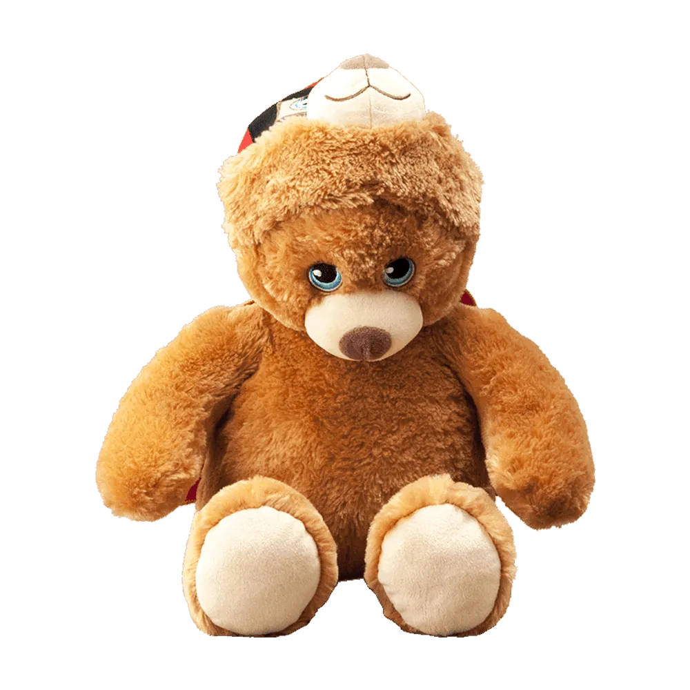 Flipemz Brendan Bear to Super Bear Plush Toy