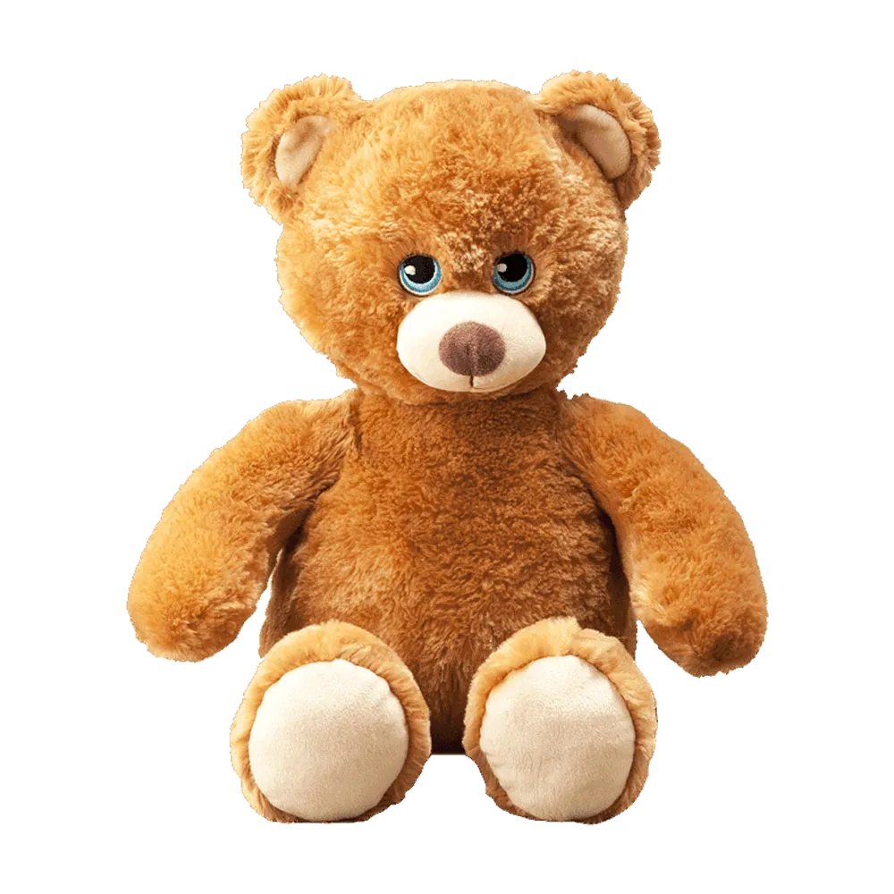 Flipemz Brendan Bear to Super Bear Plush Toy